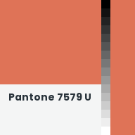 Color chip: Pantone 7579 U