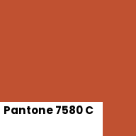 Color chip: Pantone 7580 C