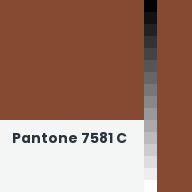 Color chip: Pantone 7581 C