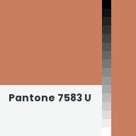 Color chip: Pantone 7583 U