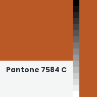 Color chip: Pantone 7584 C