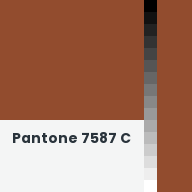 Color chip: Pantone 7587 C