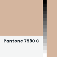 Color chip: Pantone 7590 C