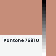 Color chip: Pantone 7591 U
