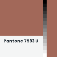 Color chip: Pantone 7593 U