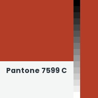 Color chip: Pantone 7599 C