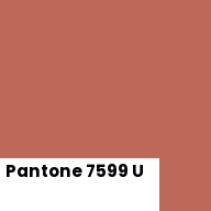 Color chip: Pantone 7599 U