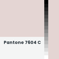 Color chip: Pantone 7604 C