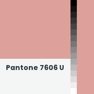 Color chip: Pantone 7606 U