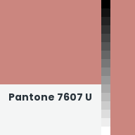 Color chip: Pantone 7607 U