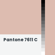 Color chip: Pantone 7611 C