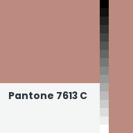 Color chip: Pantone 7613 C