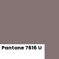 Color chip: Pantone 7616 U
