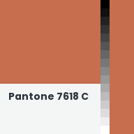 Color chip: Pantone 7618 C