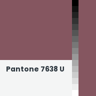 Color chip: Pantone 7638 U
