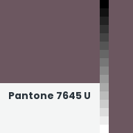 Color chip: Pantone 7645 U