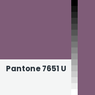 Color chip: Pantone 7651 U