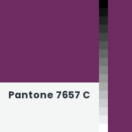 Color chip: Pantone 7657 C