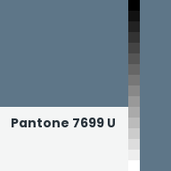 Color chip: Pantone 7699 U