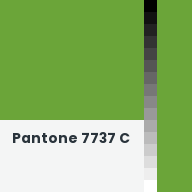 Color chip: Pantone 7737 C