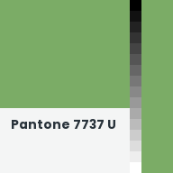 Color chip: Pantone 7737 U