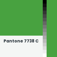 Color chip: Pantone 7738 C