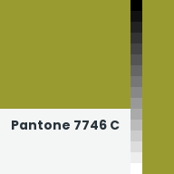 Color chip: Pantone 7746 C