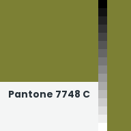 Color chip: Pantone 7748 C