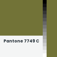 Color chip: Pantone 7749 C