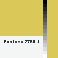 Color chip: Pantone 7758 U