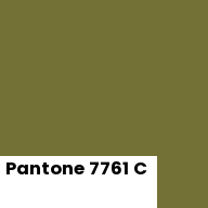 Color chip: Pantone 7761 C