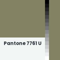 Color chip: Pantone 7761 U