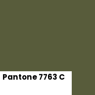 Color chip: Pantone 7763 C