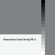 Color chip: Pantone Cool Gray 10 U