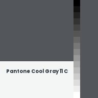 Color chip: Pantone Cool Gray 11 C