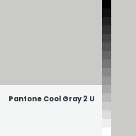 Color chip: Pantone Cool Gray 2 U
