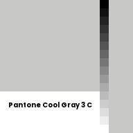 Color chip: Pantone Cool Gray 3 C