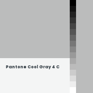 Color chip: Pantone Cool Gray 4 C