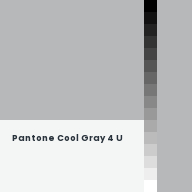 Color chip: Pantone Cool Gray 4 U