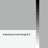 Color chip: Pantone Cool Gray 5 C