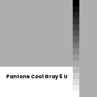Color chip: Pantone Cool Gray 5 U