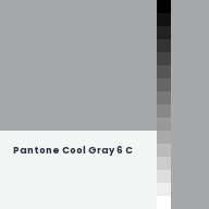 Color chip: Pantone Cool Gray 6 C