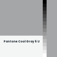 Color chip: Pantone Cool Gray 6 U