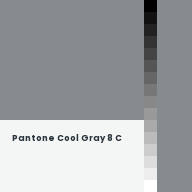 Color chip: Pantone Cool Gray 8 C