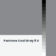 Color chip: Pantone Cool Gray 9 U
