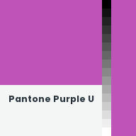 Color chip: Pantone Purple U