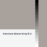 Color chip: Pantone Warm Gray 5 U