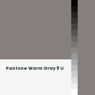 Color chip: Pantone Warm Gray 9 U