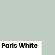 Color chip: Paris White