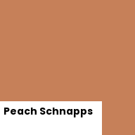 Color chip: Peach Schnapps